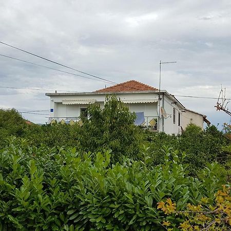 טרוגיר Apartment Marija & Iko מראה חיצוני תמונה