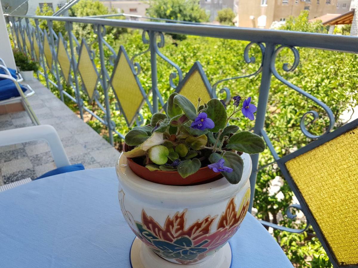 טרוגיר Apartment Marija & Iko מראה חיצוני תמונה
